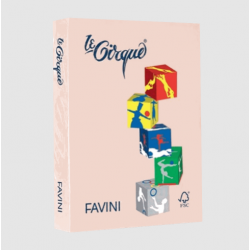 FAVINI ΧΑΡΤΙ Α4 160gr ΣΟΜΟΝ ΠΑΣΤΕΛ 250Φ.